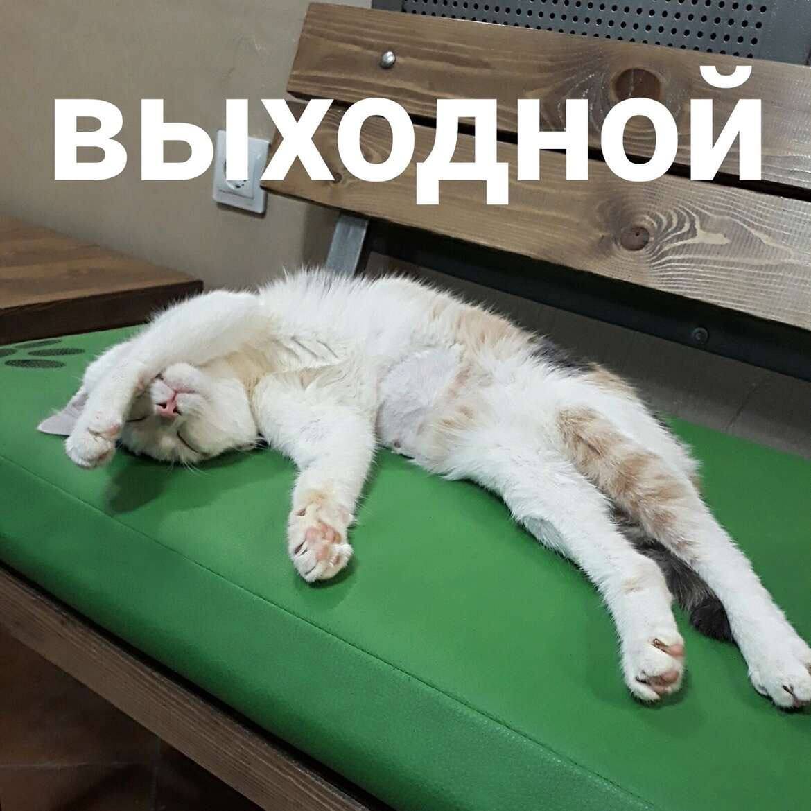 Ура выходной картинки