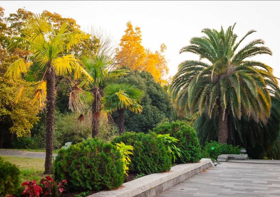 Сочи ,черное море ,ноябрь. Туры в сочи октябрь 2020. Сочи 2022. Сочи пляж в ноябре. Сочи в ноябре фото туристов.