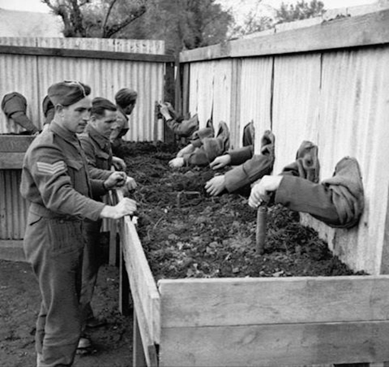 Запрещенные Фотографии Войны