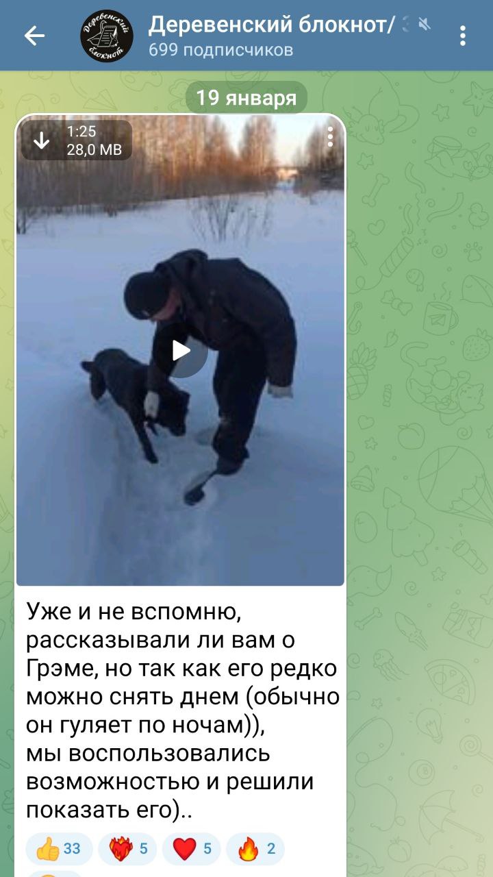 Деревенский блокнот телеграм Деревенский блокнот телеграм