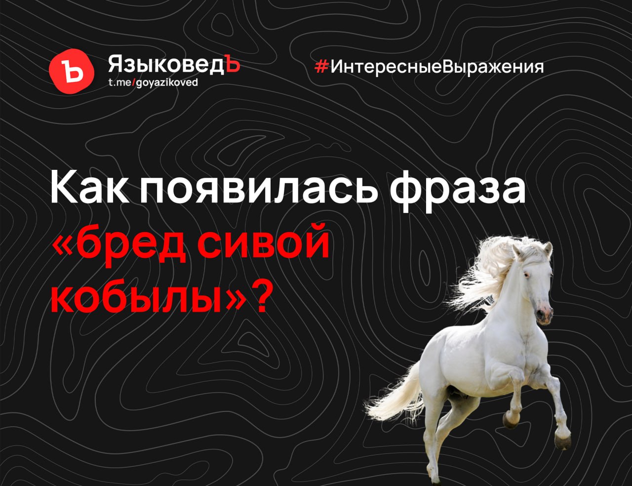Как сивый мерин значение. Как сивый мерин значение