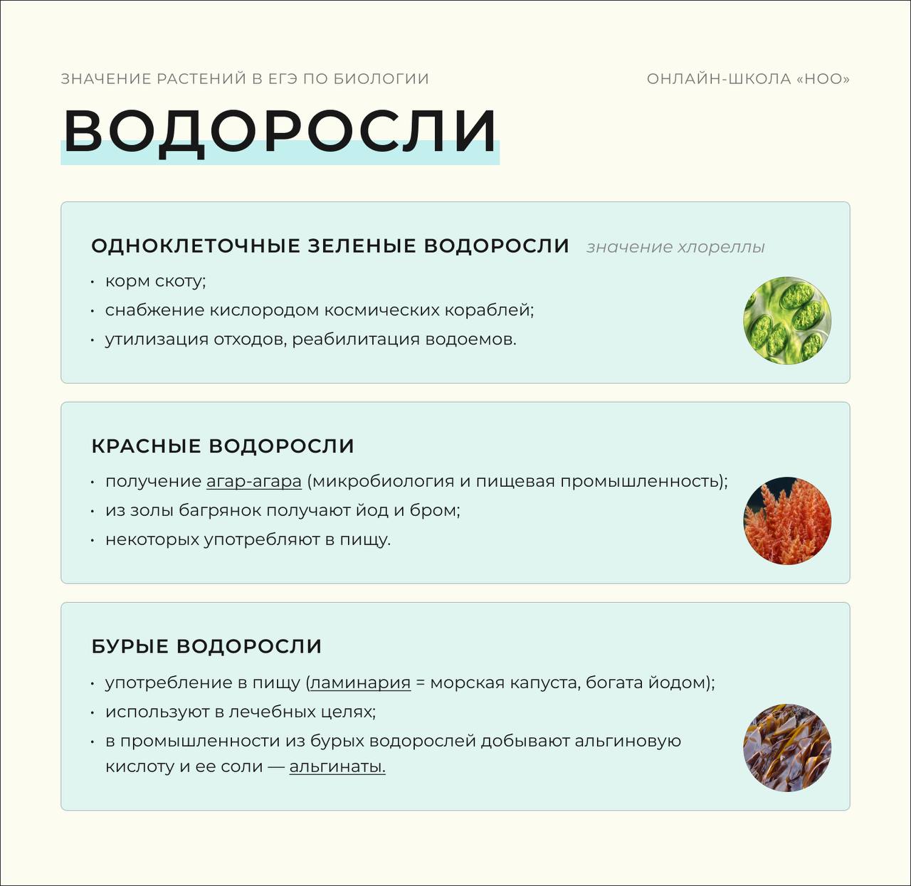 Post #6534 — ноо — биология егэ (@noobiology)