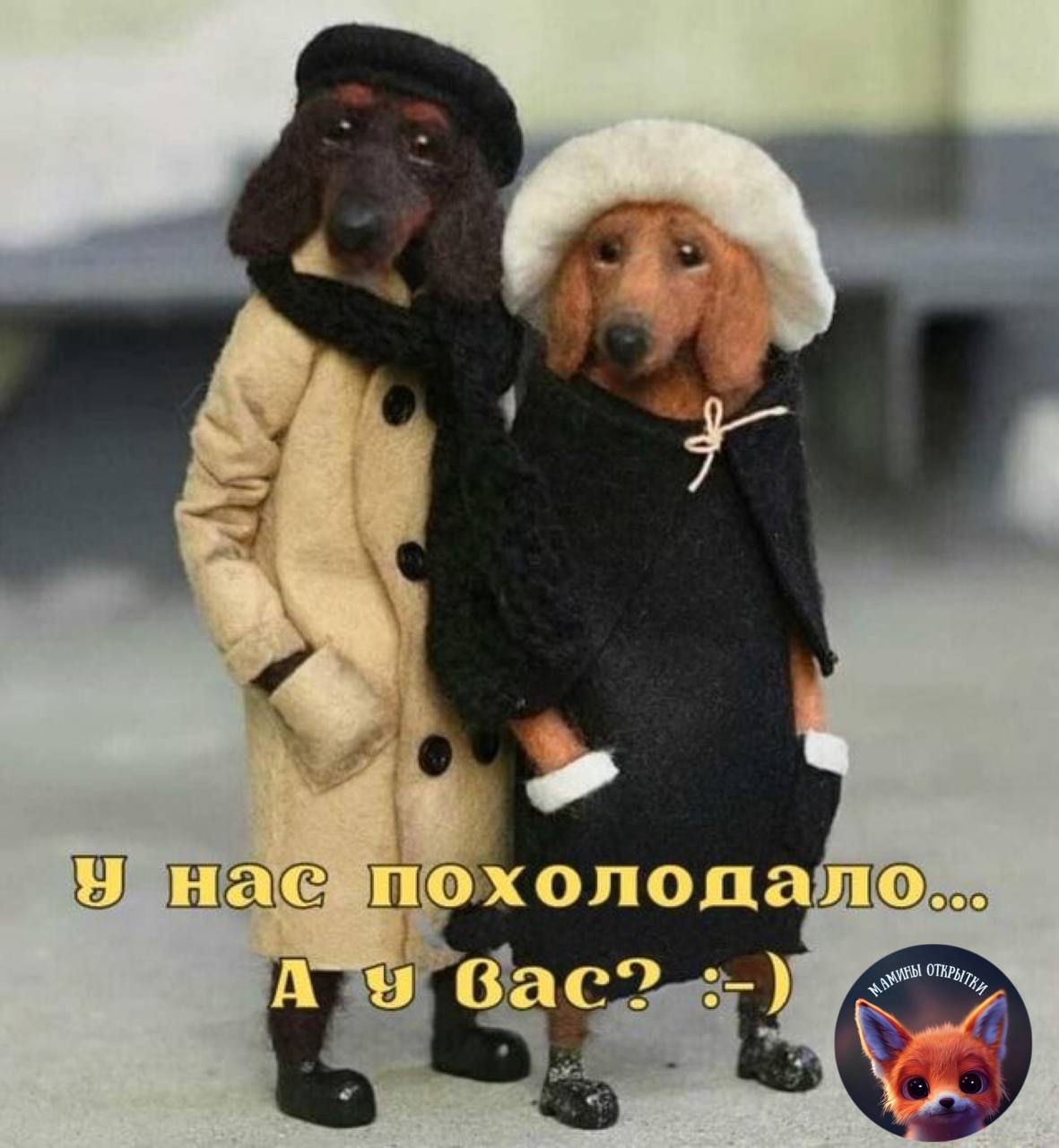 Похолодало картинки прикольные