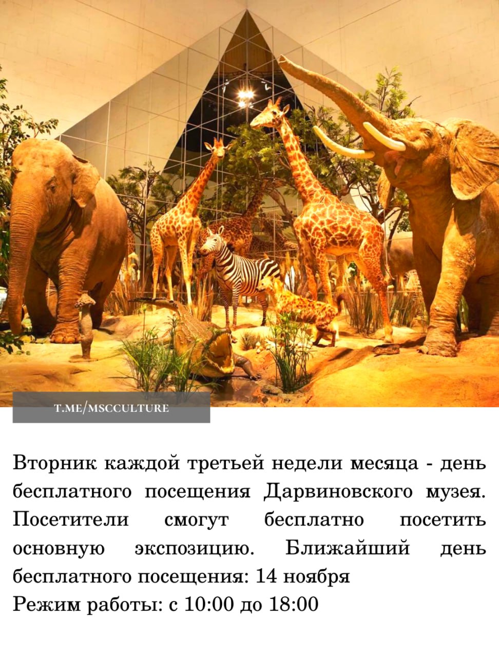 Афиша москва куда сходить с детьми. Афиша москва куда сходить с детьми