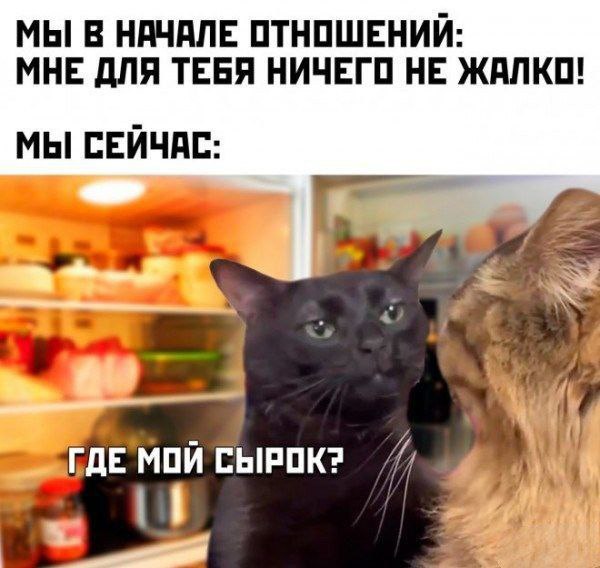 Видео мемы популярные смешные