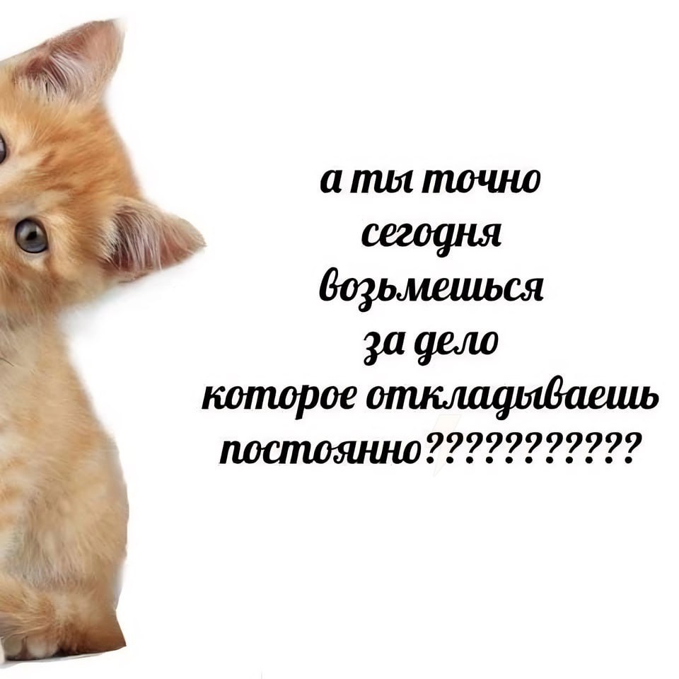 Ты мой миленький хорошенький мой котик текст