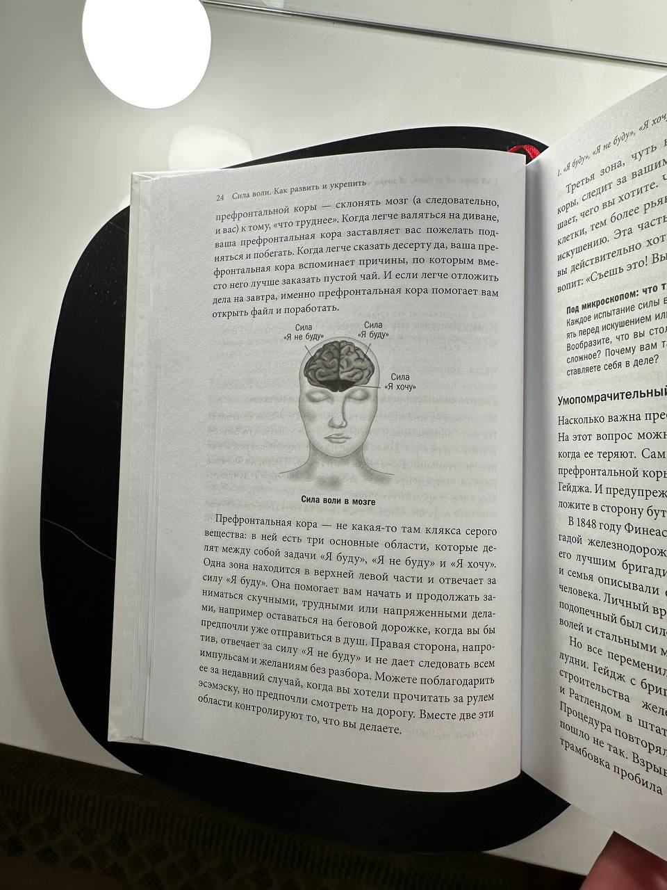 Telegram-канал ALEX — @BoyAlexxx — TGStat