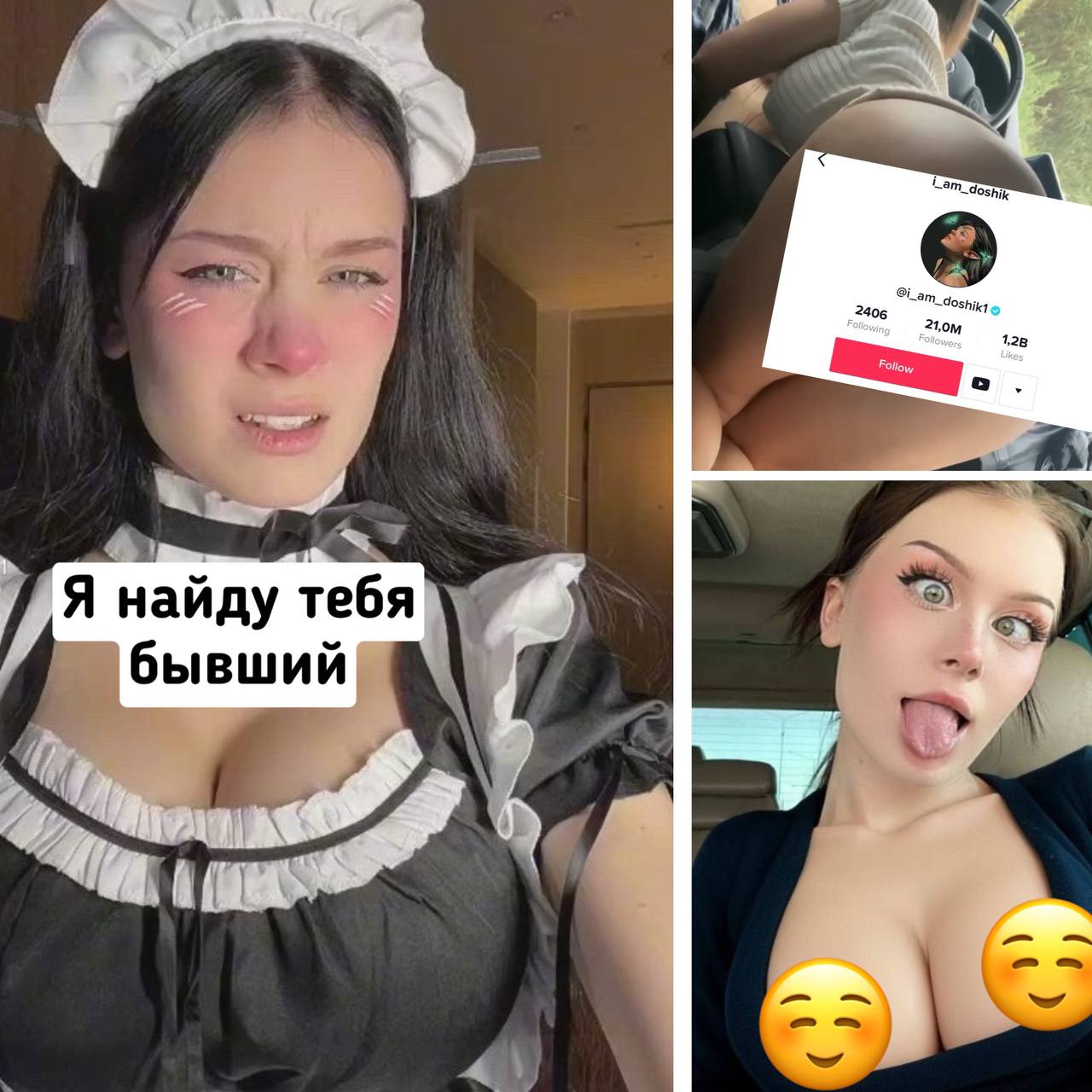 Дана дошик слив