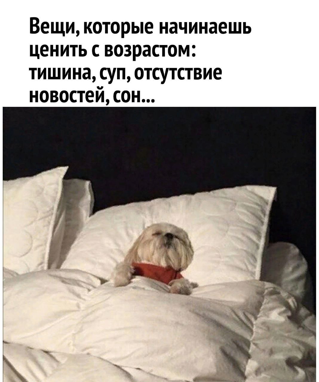 #Юмор. 