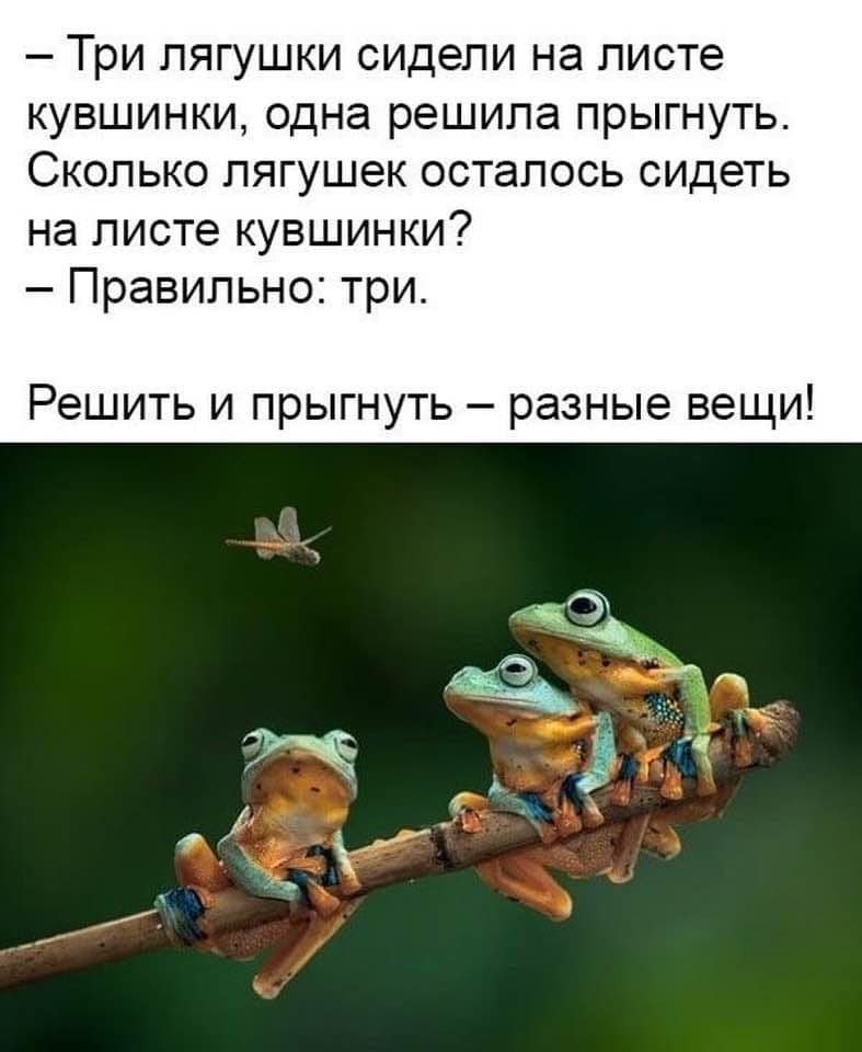 Картинка после поездки с инструктором прикольные. Только любя детей можно работать тренером. Загадка сколько лягушек. Цитаты про жабу. Лягушка сидит на листе.